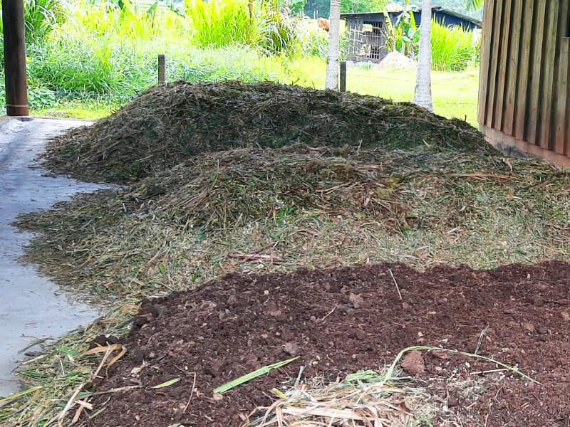 Imagem Franquia Master